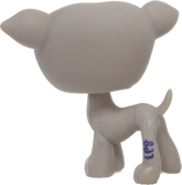 #1897 Greyhound